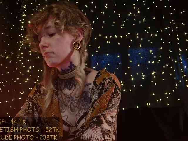 LittleSpaceMouse- webcam