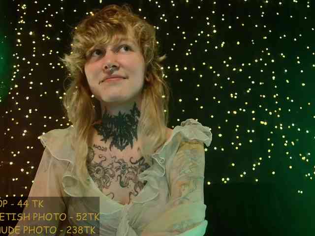 LittleSpaceMouse- webcam