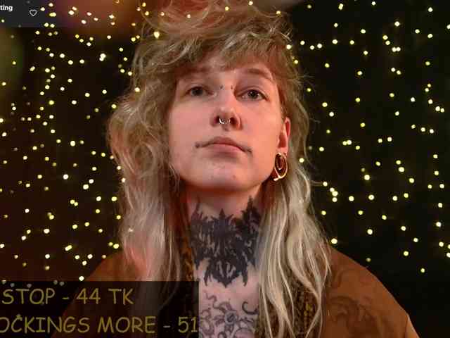 LittleSpaceMouse- webcam