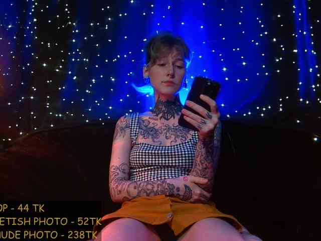 LittleSpaceMouse- webcam