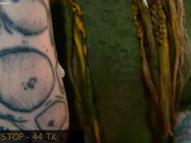 LittleSpaceMouse- webcam