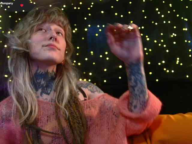 LittleSpaceMouse- webcam