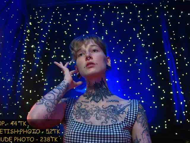 LittleSpaceMouse- webcam