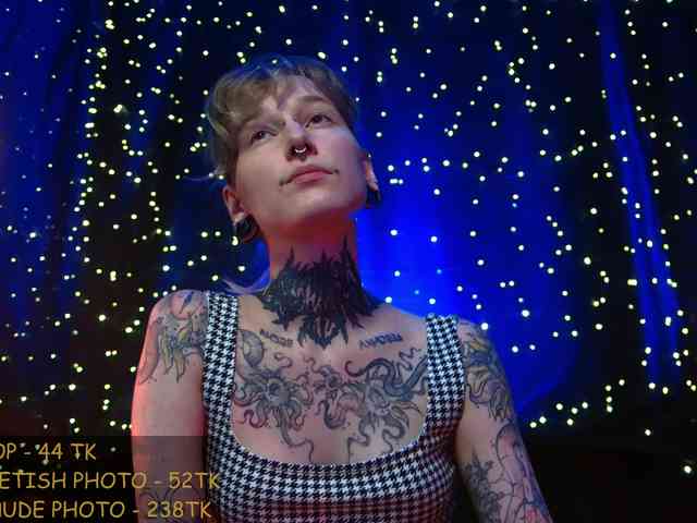 LittleSpaceMouse- webcam