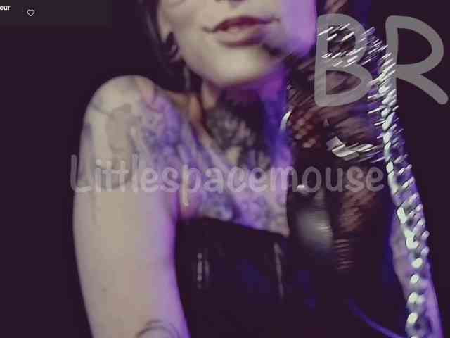 LittleSpaceMouse- webcam