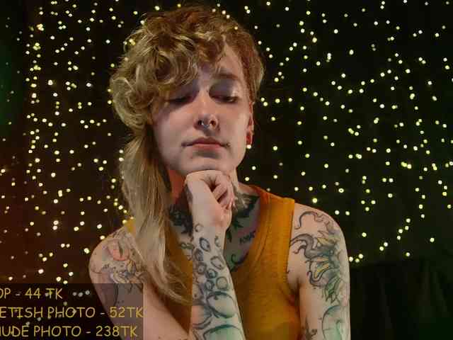 LittleSpaceMouse- webcam