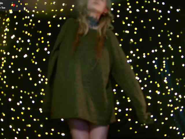 LittleSpaceMouse- webcam