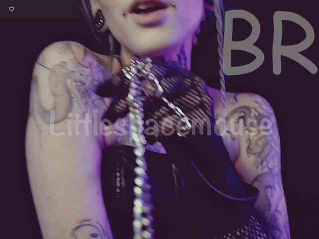 LittleSpaceMouse- webcam