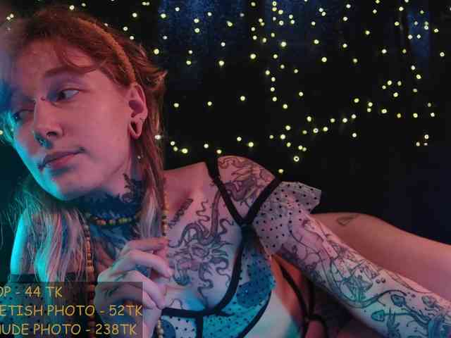 LittleSpaceMouse- webcam