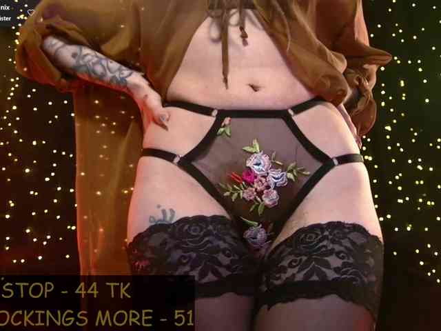 LittleSpaceMouse- webcam