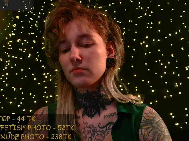 LittleSpaceMouse- webcam