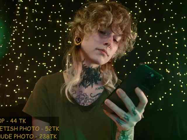 LittleSpaceMouse- webcam