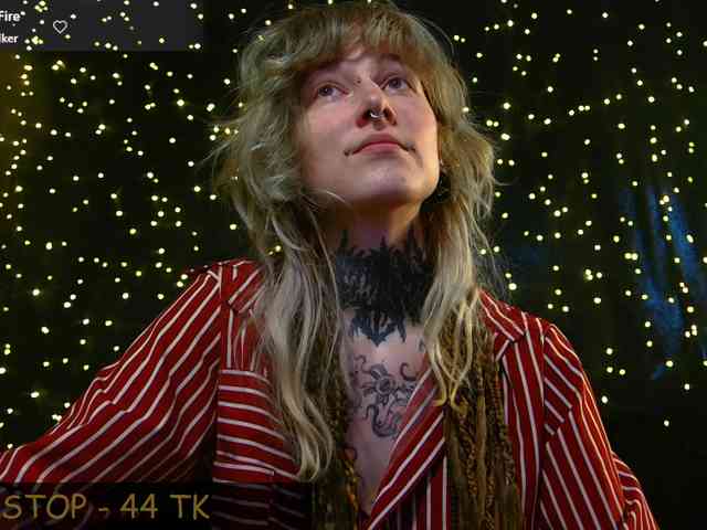 LittleSpaceMouse- webcam