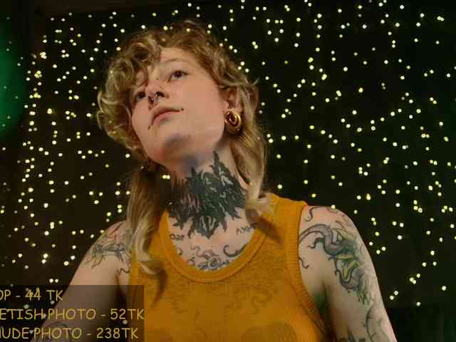 LittleSpaceMouse- webcam