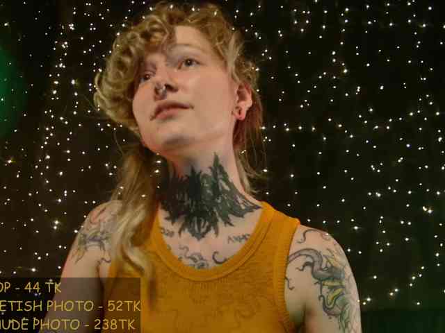 LittleSpaceMouse- webcam