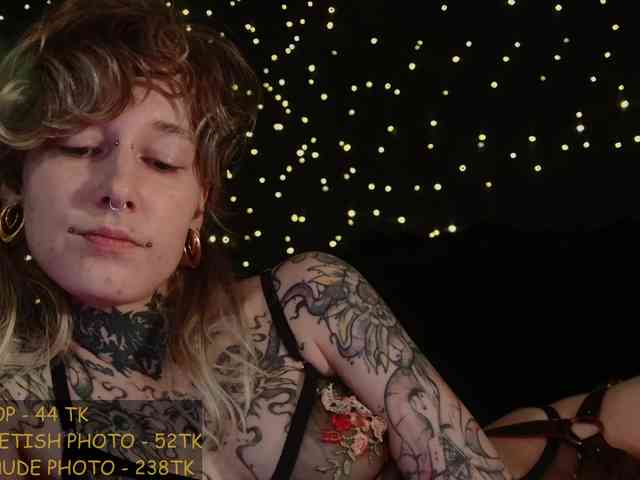 LittleSpaceMouse- webcam
