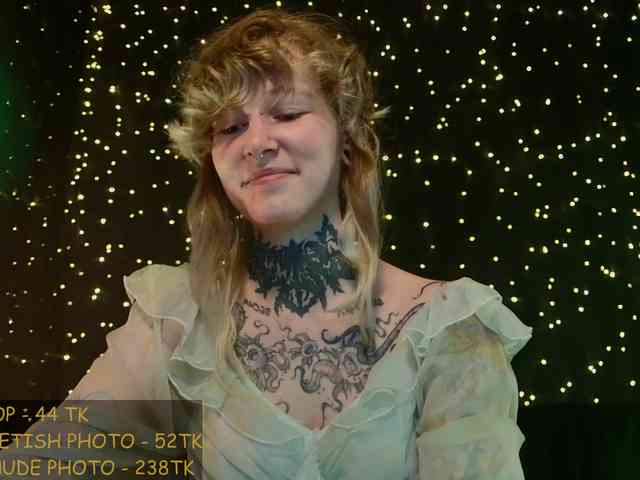 LittleSpaceMouse- webcam