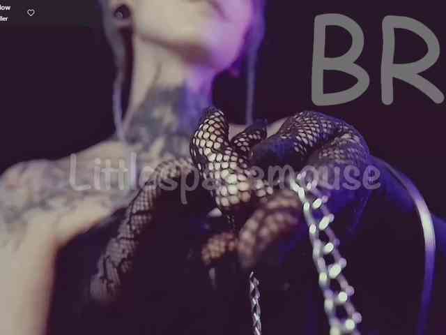 LittleSpaceMouse- webcam