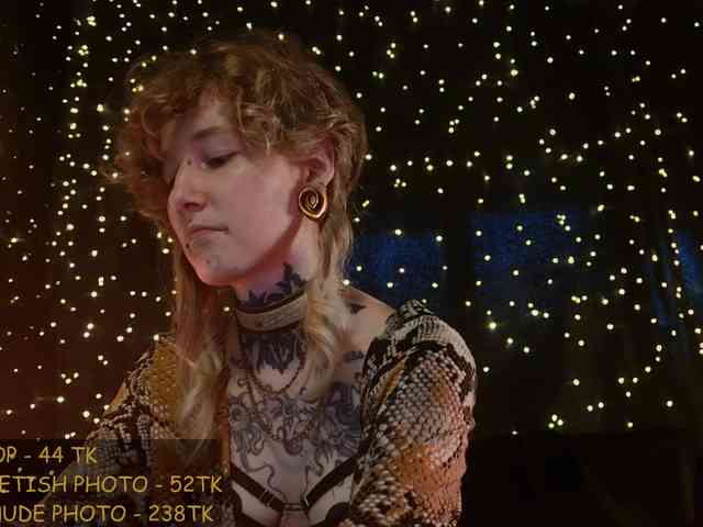 LittleSpaceMouse- webcam