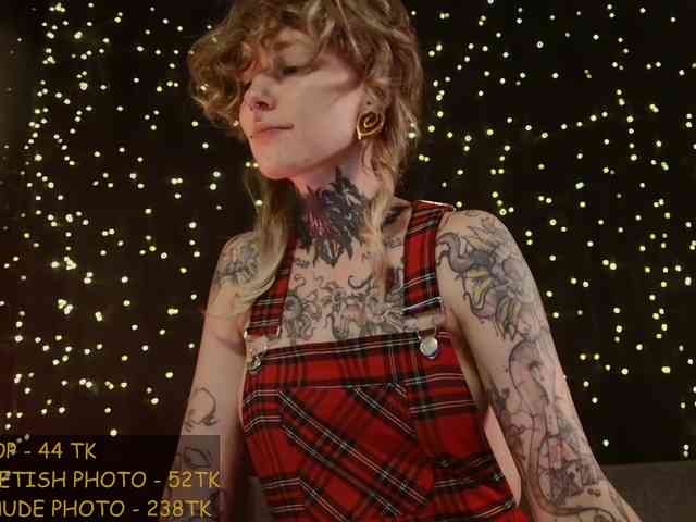 LittleSpaceMouse- webcam