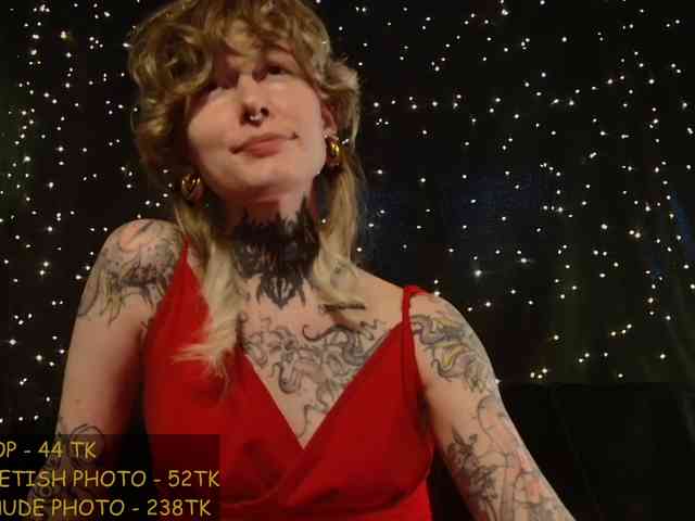 LittleSpaceMouse- webcam