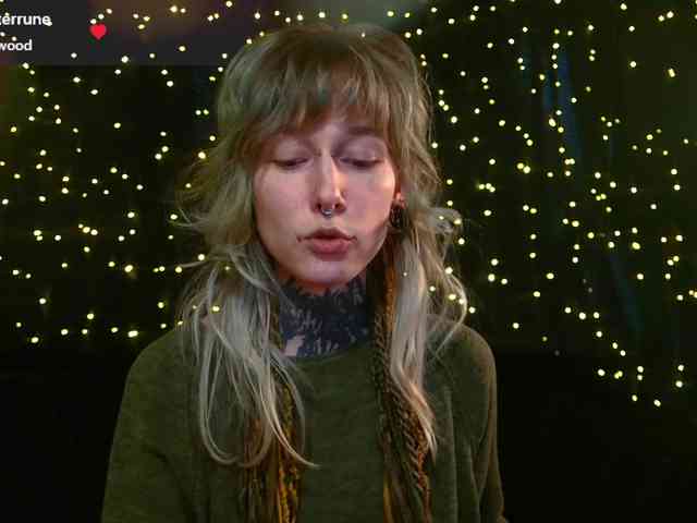 LittleSpaceMouse- webcam