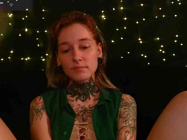 LittleSpaceMouse- webcam