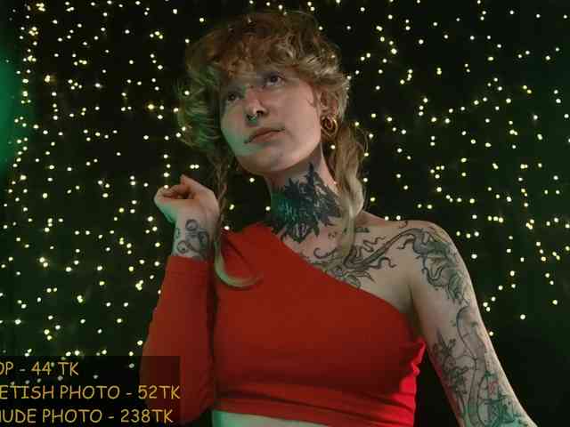 LittleSpaceMouse- webcam