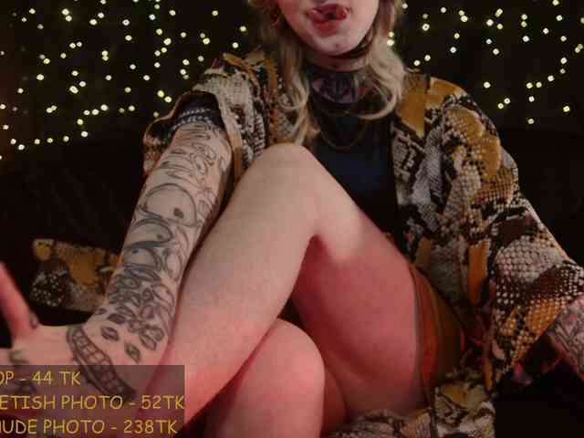 LittleSpaceMouse- webcam