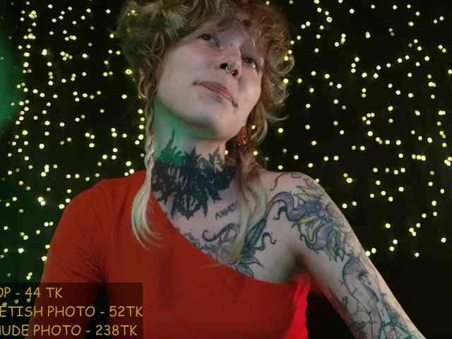 LittleSpaceMouse- webcam