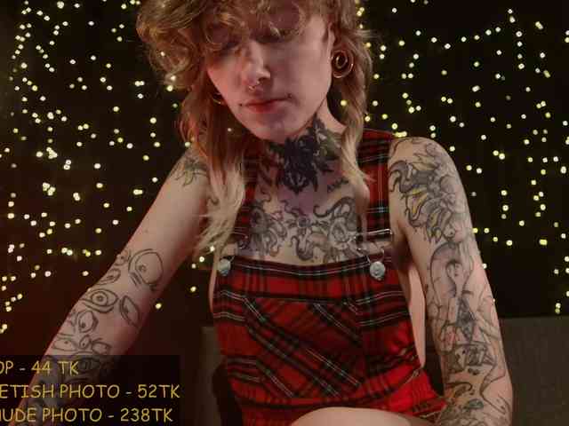 LittleSpaceMouse- webcam
