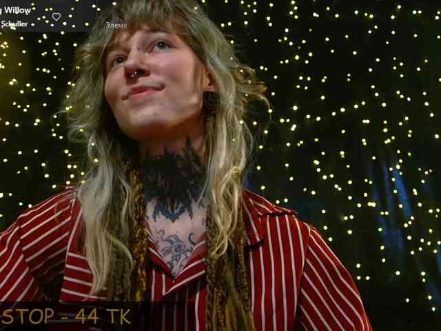 LittleSpaceMouse- webcam