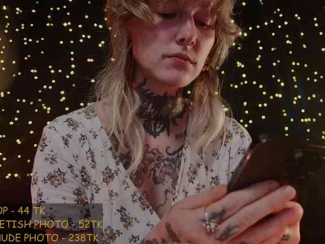 LittleSpaceMouse- webcam