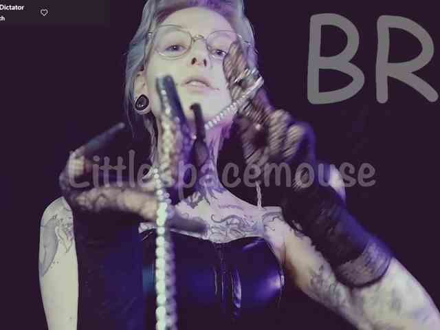 LittleSpaceMouse- webcam