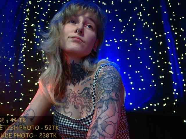 LittleSpaceMouse- webcam