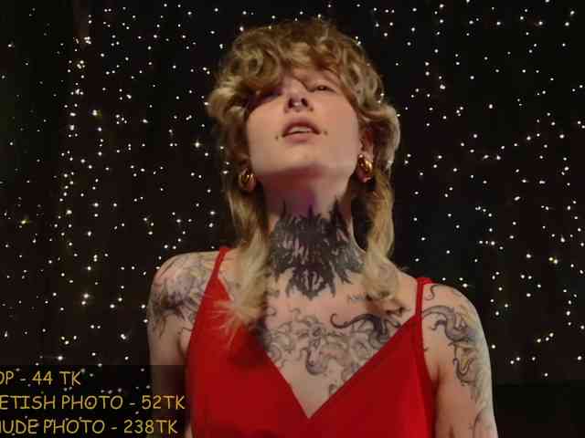 LittleSpaceMouse- webcam