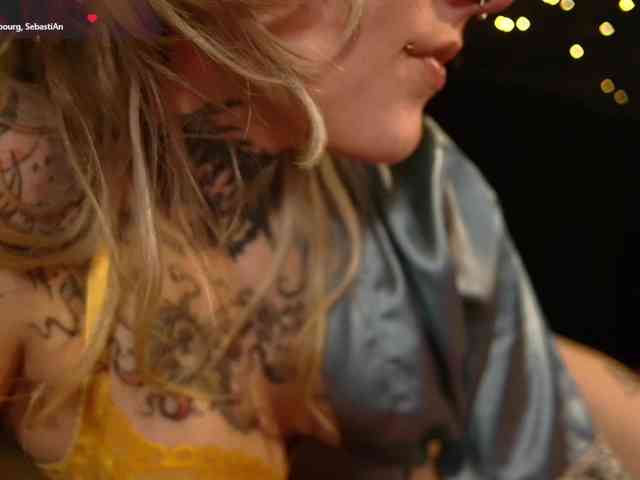 LittleSpaceMouse- webcam