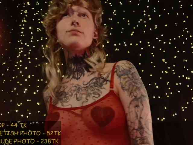 LittleSpaceMouse- webcam
