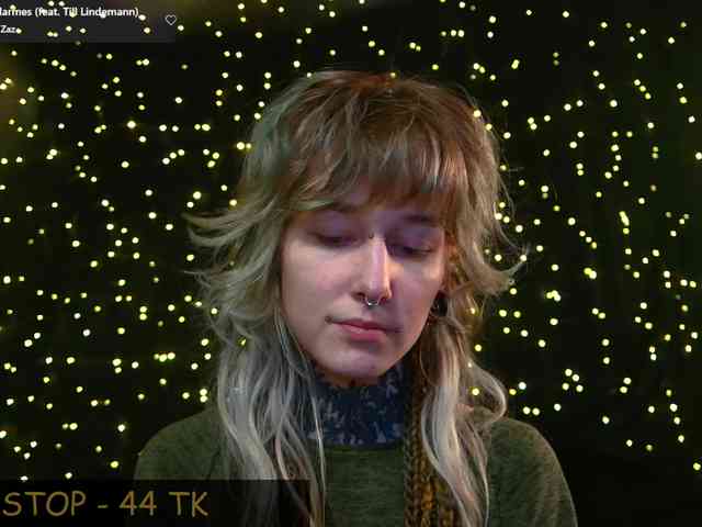 LittleSpaceMouse- webcam