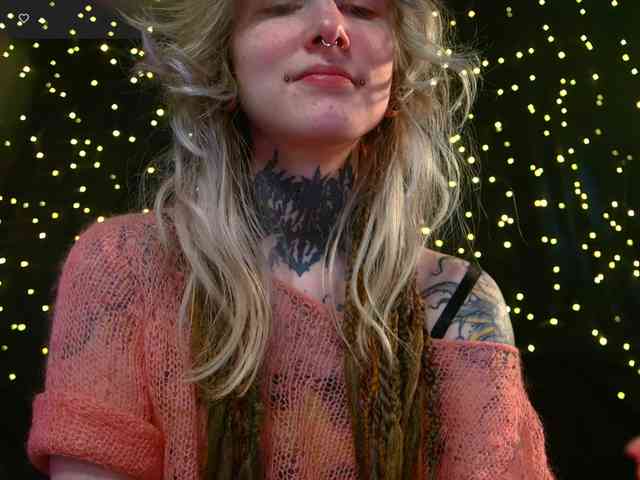 LittleSpaceMouse- webcam