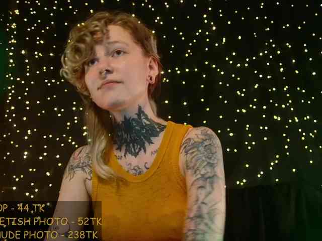 LittleSpaceMouse- webcam
