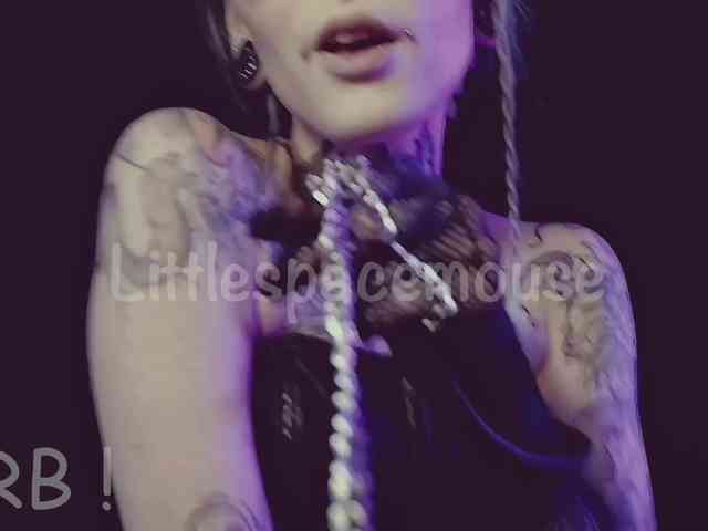 LittleSpaceMouse- webcam