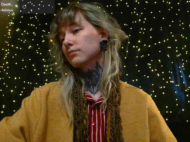 LittleSpaceMouse- webcam