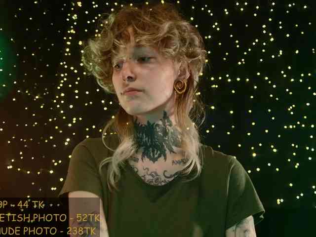 LittleSpaceMouse- webcam