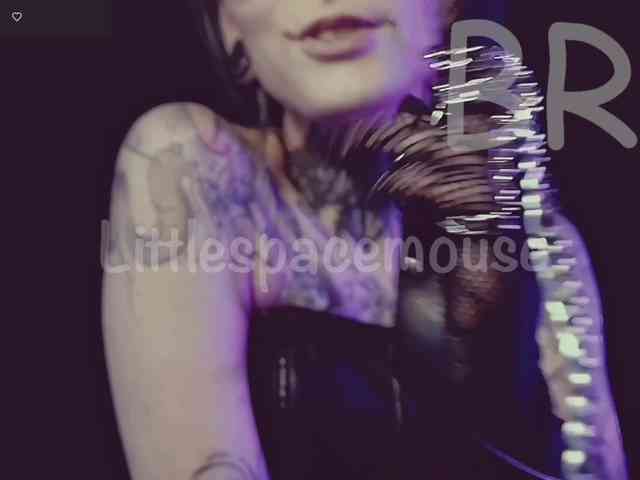 LittleSpaceMouse- webcam