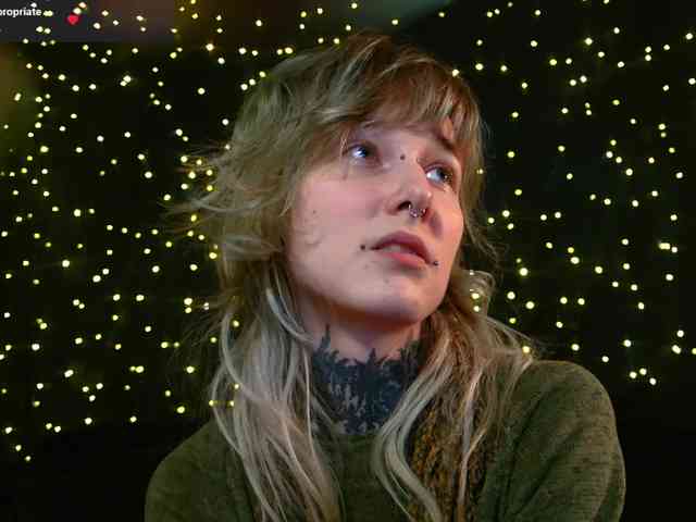 LittleSpaceMouse- webcam