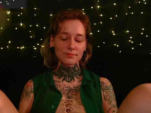 LittleSpaceMouse- webcam
