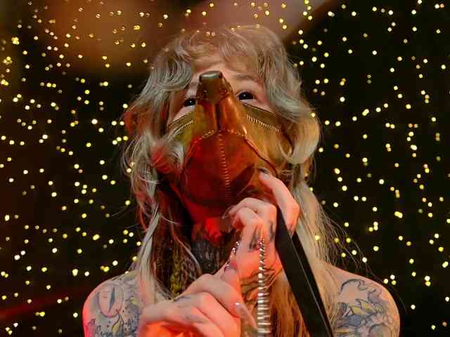 LittleSpaceMouse- webcam