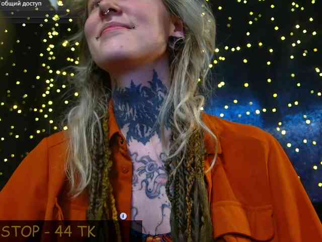 LittleSpaceMouse- webcam