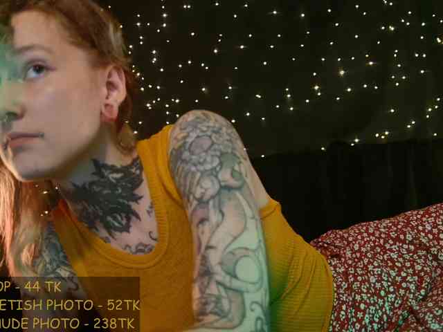 LittleSpaceMouse- webcam